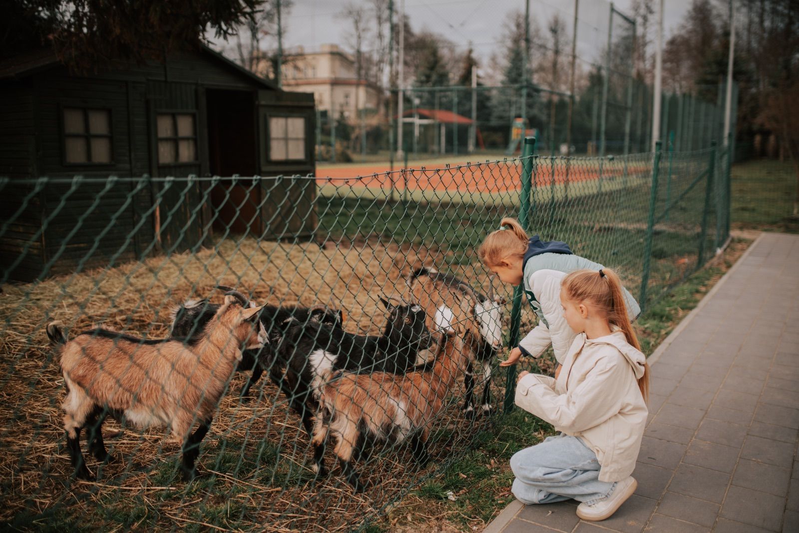 Przyjęcie dla dziecka z atrakcjami - plac zabaw i mini zoo