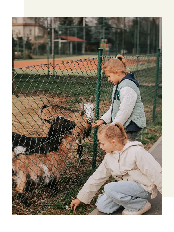 Dzieci karmią kozy przy placu zabaw i mini zoo Hotelu Toscania